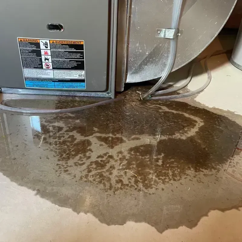 Appliance Leak Cleanup in Freeport, IL